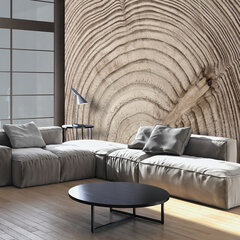 Valokuvatapetti - Wood grain 200x140 cm hinta ja tiedot | Valokuvatapetit | hobbyhall.fi