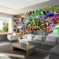 Valokuvatapetti - Graffiti on the Wall 350x245 cm hinta ja tiedot | Artgeist Kodin remontointi | hobbyhall.fi