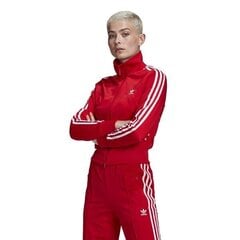 Firebird tt pb adidas originals naiset red gn2818 hinta ja tiedot | Naisten hupparit, collegepaidat ja villapaidat | hobbyhall.fi