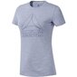 Te marble logo tee reebok naiset blue ec2323 hinta ja tiedot | Naisten T-paidat | hobbyhall.fi