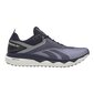 Naisten urheilukengät Reebok Floatride Run Panthea S6432315 hinta ja tiedot | Naisten urheilu- ja vapaa-ajan kengät | hobbyhall.fi