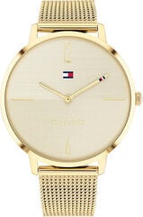 Tommy Hilfiger Lisa 1782339 hinta ja tiedot | Naisten kellot | hobbyhall.fi