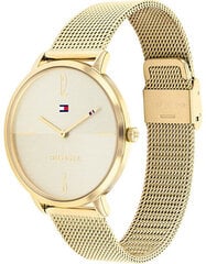 Tommy Hilfiger Lisa 1782339 hinta ja tiedot | Naisten kellot | hobbyhall.fi