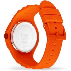 Naisten kello Ice-Watch 019873 hinta ja tiedot | Naisten kellot | hobbyhall.fi