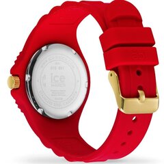 Naisten kello Ice-Watch 019891 hinta ja tiedot | Naisten kellot | hobbyhall.fi