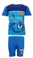 T-paita ja shortsit Sonic the Hedgehog hinta ja tiedot | Poikien kylpytakit ja pyjamat | hobbyhall.fi