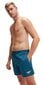 Miesten uimahousut Speedo hinta ja tiedot | Miesten uimahousut ja -shortsit | hobbyhall.fi