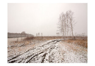 Valokuvatapetti - Winter field 200x154 cm hinta ja tiedot | Valokuvatapetit | hobbyhall.fi
