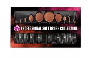 Pehmeät siveltimet Professional Brush Set, 10 kpl hinta ja tiedot | Meikkisiveltimet ja meikkisienet | hobbyhall.fi