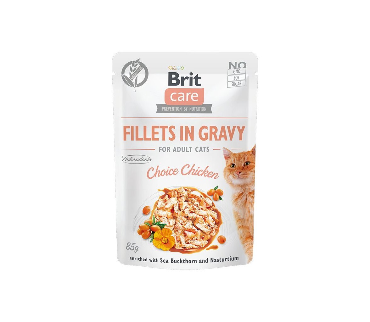 Brit Care Filets Gravy Choice Chicken, 85g x 12 hinta ja tiedot | Kissanruoka | hobbyhall.fi