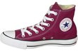 Converse C. Taylor All Star Hi Sneakers miehille, punainen hinta ja tiedot | Miesten urheilu- ja vapaa-ajan kengät | hobbyhall.fi