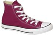 Converse C. Taylor All Star Hi Sneakers miehille, punainen hinta ja tiedot | Miesten urheilu- ja vapaa-ajan kengät | hobbyhall.fi