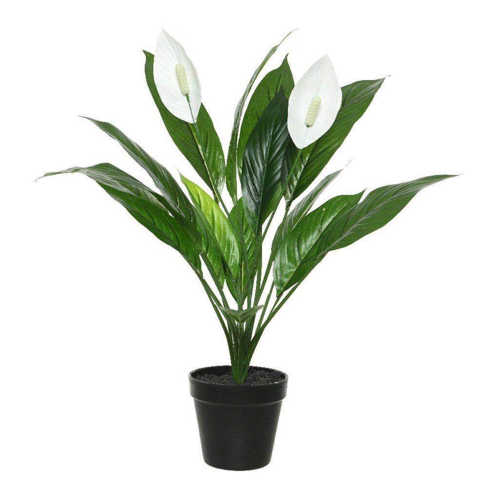 Koristekukka Spathiphyllum hinta ja tiedot | Keinotekoiset kukat | hobbyhall.fi