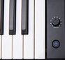 88-näppäinen digitaalinen piano LiveStar LDP15 hinta ja tiedot | Kosketinsoittimet | hobbyhall.fi