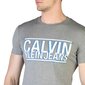 Miesten t-paita Calvin Klein ZM0ZM01574 72362, harmaa hinta ja tiedot | Miesten T-paidat | hobbyhall.fi