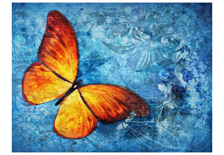 Valokuvatapetti - Fiery butterfly 200x154 cm hinta ja tiedot | Valokuvatapetit | hobbyhall.fi