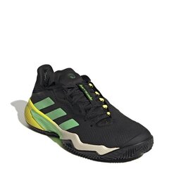 Miesten urheilukengät Adidas GY1435 hinta ja tiedot | Miesten urheilu- ja vapaa-ajan kengät | hobbyhall.fi