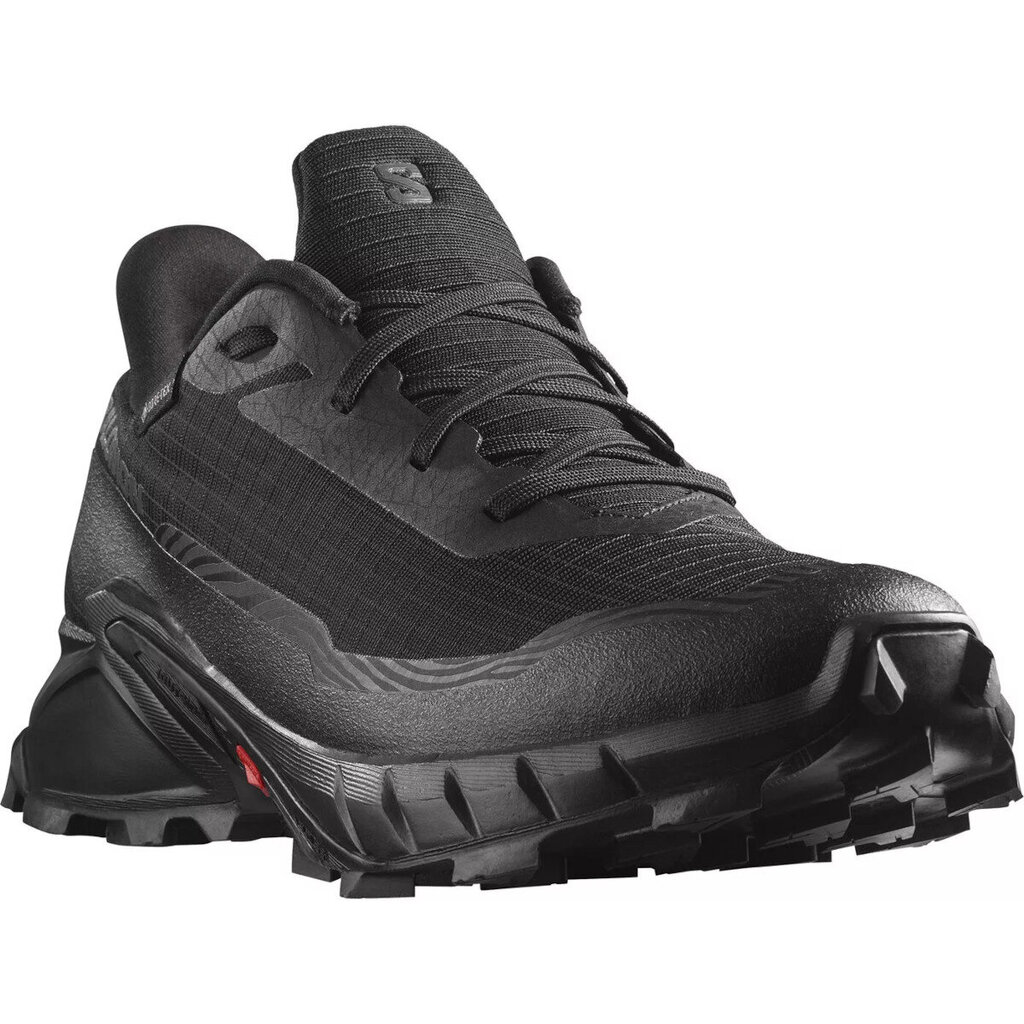 Alphacross 5 gtx salomon miehet black l47307500 L47307500 hinta ja tiedot | Miesten urheilu- ja vapaa-ajan kengät | hobbyhall.fi