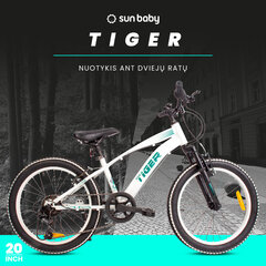 Polkupyörä lapsille 20'', Tiger Bike Shimano RevoShift, valkoinen hinta ja tiedot | Polkupyörät | hobbyhall.fi