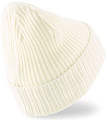 Puma Hattu Ribbed Classic Cuff Beanie White 024038 04 hinta ja tiedot | Miesten hatut, huivit ja käsineet | hobbyhall.fi