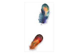 Valokuvatapetti - Colorful Feathers 50x1000 cm hinta ja tiedot | Valokuvatapetit | hobbyhall.fi