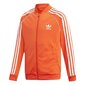 Superstar alkuun adidas originals tyttö orange dv2899 hinta ja tiedot | Tyttöjen neuleet, liivit ja jakut | hobbyhall.fi