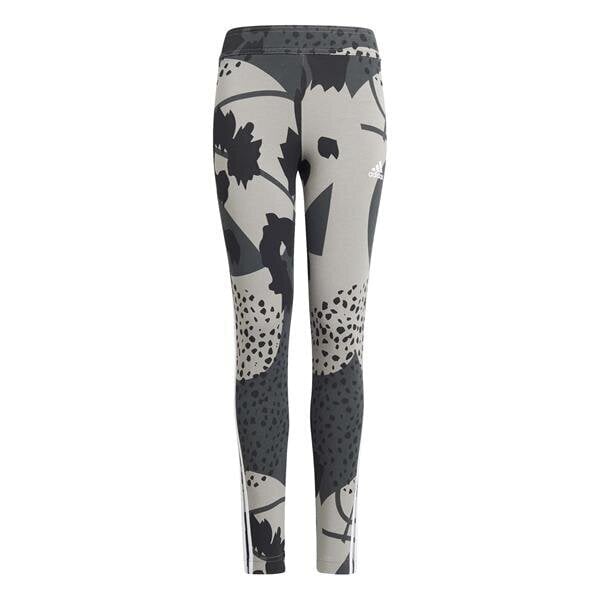 G fi 3s aop tight adidas performance poika grey h26604 hinta ja tiedot | Tyttöjen leggingsit ja housut | hobbyhall.fi