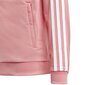 Sst track alkuun adidas originals tyttö pink gn8450 hinta ja tiedot | Tyttöjen neuleet, liivit ja jakut | hobbyhall.fi