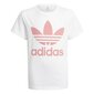 Trefoil tee adidas originals tyttö white gn8213 hinta ja tiedot | Tyttöjen paidat | hobbyhall.fi