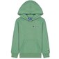 Hooded sweatshirt champion rochester green 305960gs098 hinta ja tiedot | Poikien puserot, liivit ja jakut | hobbyhall.fi