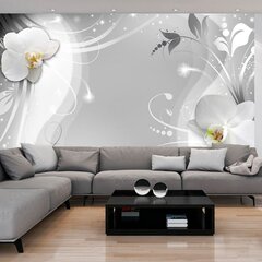 Valokuvatapetti - Charming orchid 250x175 cm hinta ja tiedot | Valokuvatapetit | hobbyhall.fi