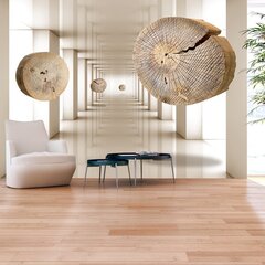 Valokuvatapetti - Flying Discs of Wood 300x210 cm hinta ja tiedot | Valokuvatapetit | hobbyhall.fi