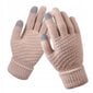 Akryyli HANDS Warm Touch Beige R02 R02-BEZOWE hinta ja tiedot | Naisten käsineet | hobbyhall.fi