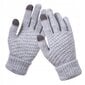 Akryyli Warm Touch Grey R02 KÄDET R02-SZARE hinta ja tiedot | Naisten käsineet | hobbyhall.fi