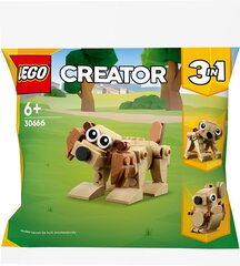 30666 LEGO® Creator Animals - lahjasetti hinta ja tiedot | LEGOT ja rakennuslelut | hobbyhall.fi