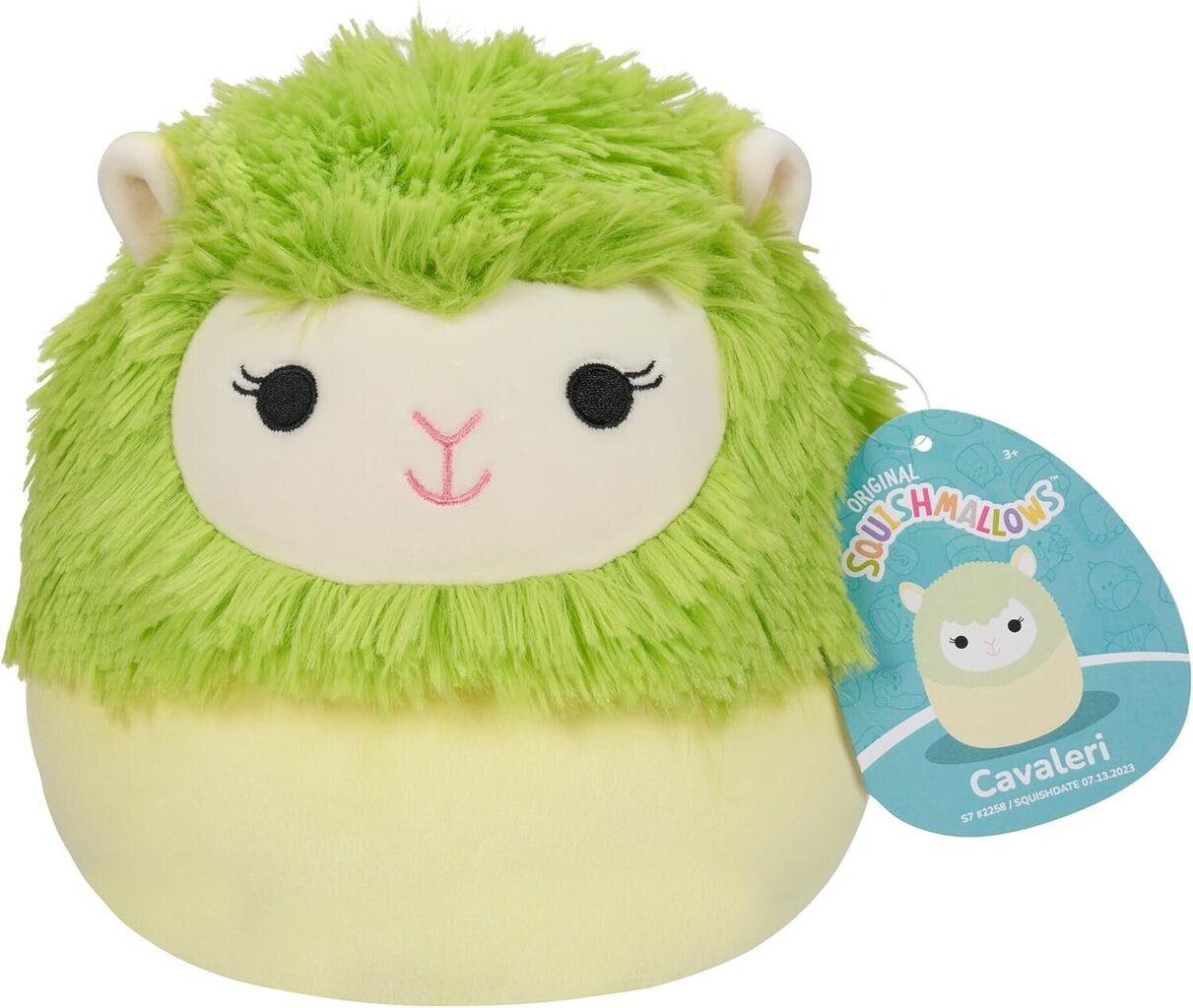 Orbico Squishmallows W18 A Cavaleri 19cm SQCR0537 hinta ja tiedot | Pehmolelut | hobbyhall.fi