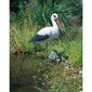 Puutarhan koristelu Stork, 88 cm hinta ja tiedot | Puutarhakoristeet | hobbyhall.fi