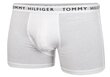 Nyrkkeilijät TOMMY HILFIGER 3Pck White Grey Black UM0UM022030XK hinta ja tiedot | Miesten alushousut | hobbyhall.fi