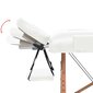 2-alueinen taitettava hierontapöytä, 10 cm paksu, valkoinen hinta ja tiedot | Hierontatuotteet | hobbyhall.fi