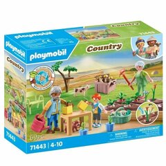 71443 Playmobil Country Isovanhemmat kasvimaalla, 69 d. hinta ja tiedot | LEGOT ja rakennuslelut | hobbyhall.fi