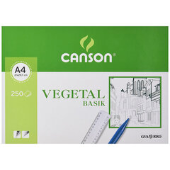 Liitu Canson Basik A4, 250 kpl 90 g/m² hinta ja tiedot | Vihkot, muistikirjat ja paperit | hobbyhall.fi