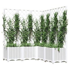 Puutarhasänky ritilällä, 120x120x136cm hinta ja tiedot | Istutusruukut ja minikasvihuoneet | hobbyhall.fi