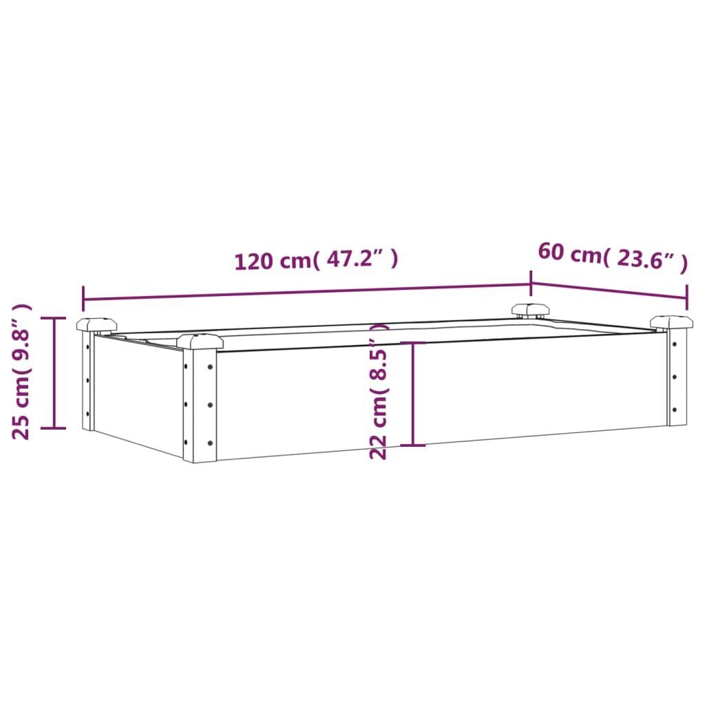 Korkea puutarhasänky ProGarden, 120x60x25 cm hinta ja tiedot | Kukkaruukut | hobbyhall.fi