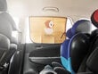 Magneettinen auton ikkunan suojus, ankka hinta ja tiedot | Lisätarvikkeet autoiluun | hobbyhall.fi