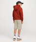 Jack & Jones lasten shortsit 12172213*02, beige 5715507743149 hinta ja tiedot | Poikien shortsit | hobbyhall.fi