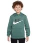 Nike collegepaita FD2988*361, oliivi/valkoinen 196977966965 hinta ja tiedot | Poikien puserot, liivit ja jakut | hobbyhall.fi