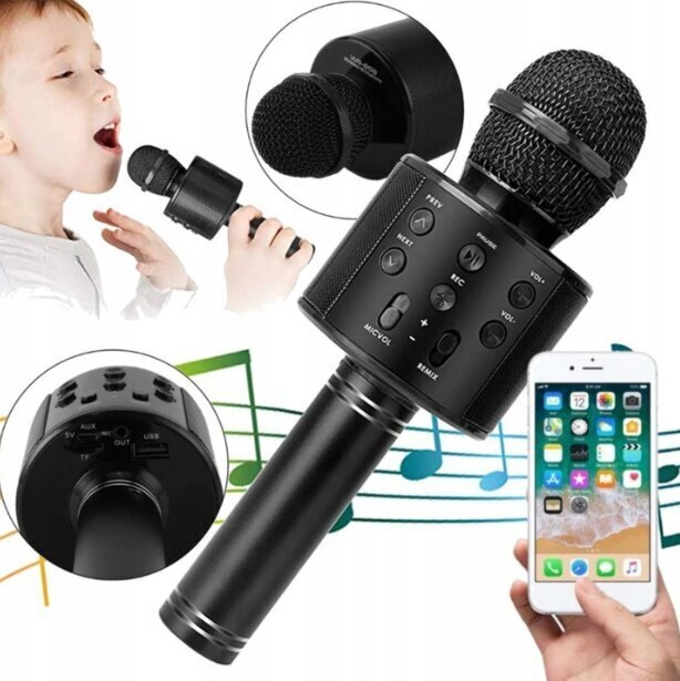 Karaoke langaton mikrofoni lapsille, musta hinta ja tiedot | Kehittävät lelut | hobbyhall.fi