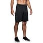 Miesten urheilushortsit Under Armour, 1306443001, musta hinta ja tiedot | Miesten urheiluvaatteet | hobbyhall.fi