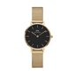 Daniel Wellington naisten kello dw00100349, Petite Evergold 28mm (zw501c) hinta ja tiedot | Naisten kellot | hobbyhall.fi