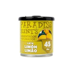 Auton ilmanraikastaja Paradise Scents hinta ja tiedot | Ilmanraikastimet autoon | hobbyhall.fi